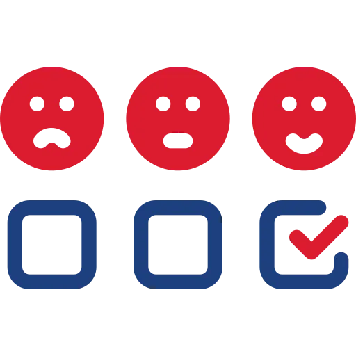 Survey Icon